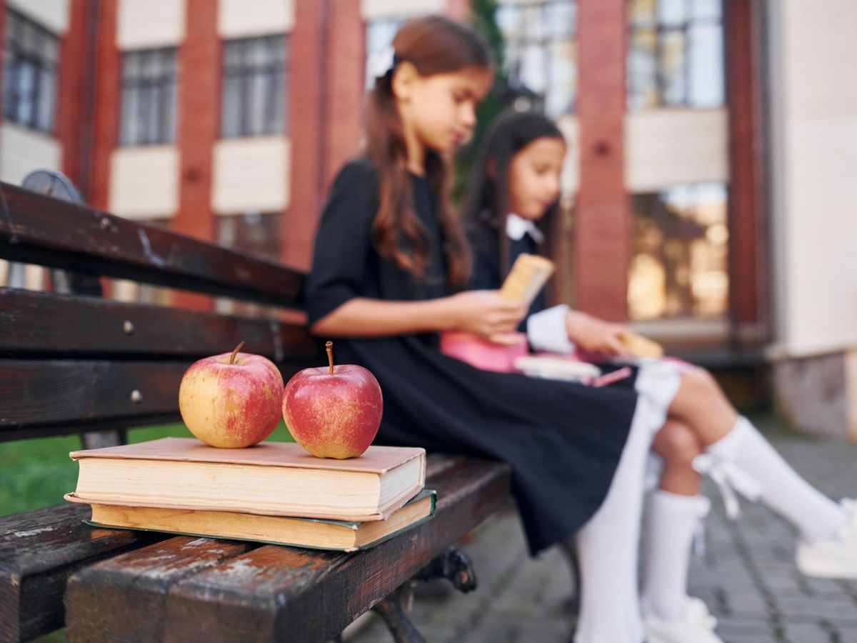 Poradnik życia studenckiego w Stuttgarcie: co warto wiedzieć przed rozpoczęciem studiów